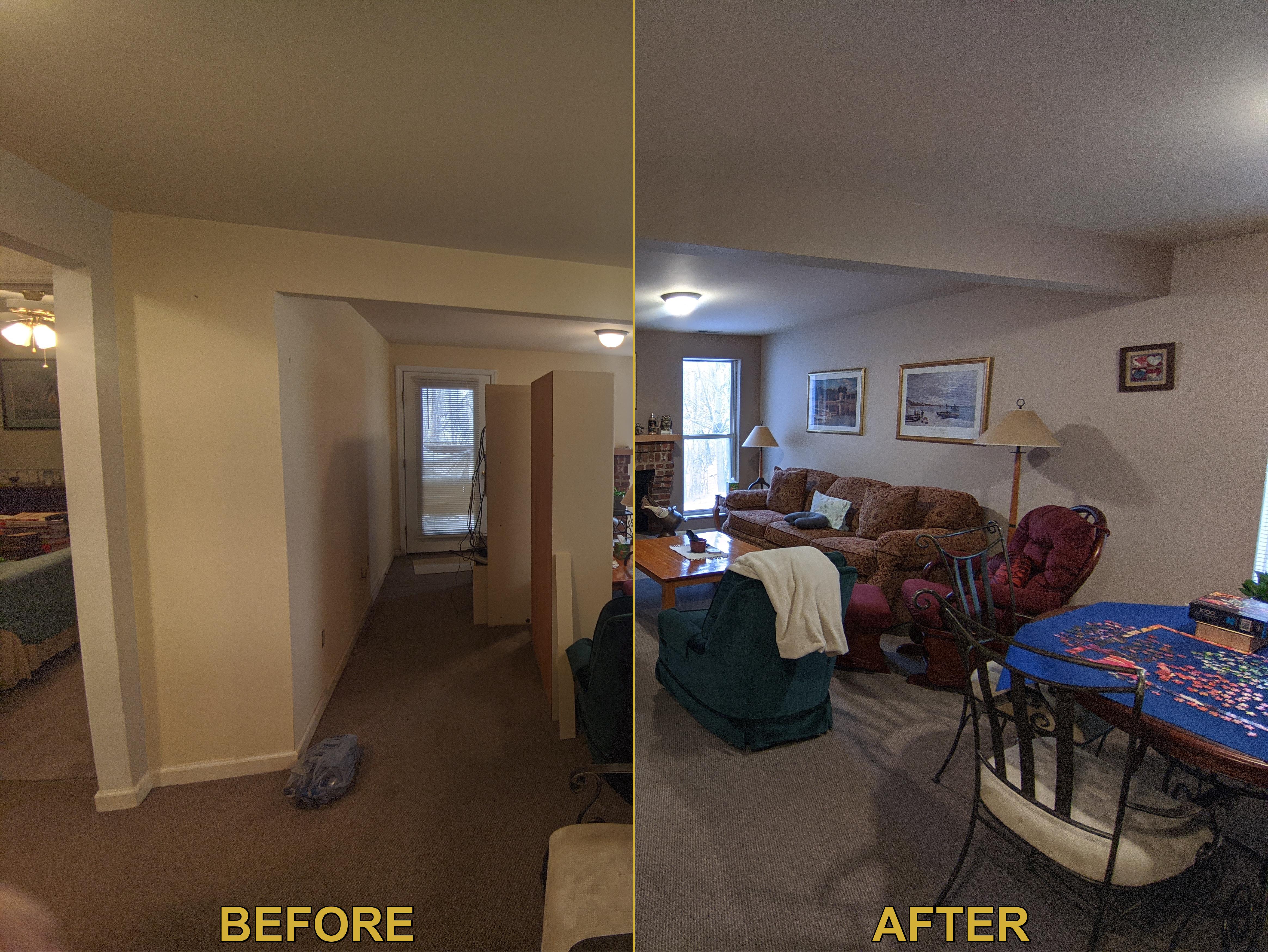 Basement Living Room